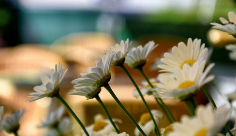 Hotýlek Diana Špindlerův Mlýn